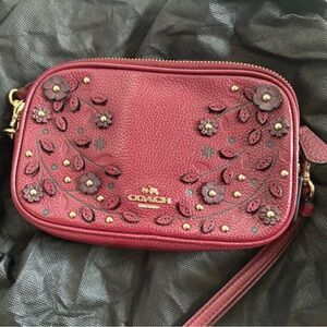 Coach crossbody in great fall color